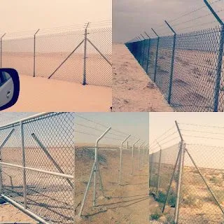 صورة المقال